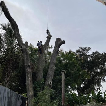 High Reach Tree Service - Tree Services Near Me - Ocala, Florida High Reach Tree Service - Tree Services Near Me - Ocala, Florida