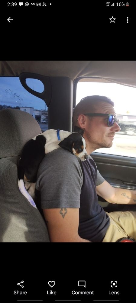 Slide of Ape Site Construction And Services