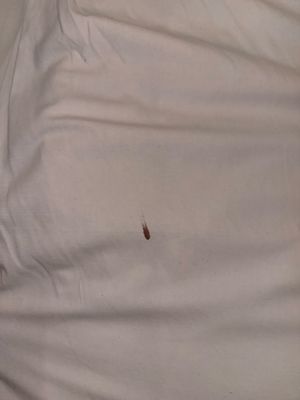 Urban Residences Rotterdam by null