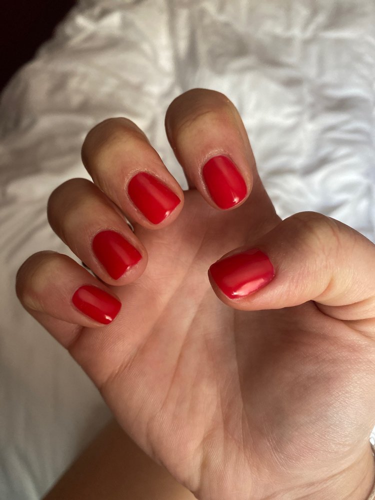 Salon Ocean Organic Image