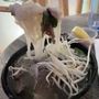 Viet Streetfood & Bar
