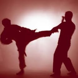 Tiger-Rock Martial Arts of Sugarland