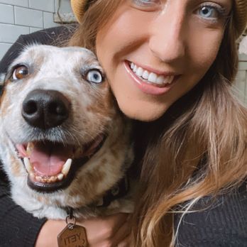 Tail Blazer - My Aussie Cattle x Shepherd mix! - Pet Sitting Near Me