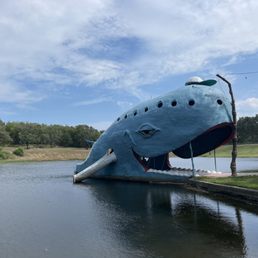 Blue Whale Blue Whale