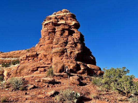 Boynton Canyon Trail by null