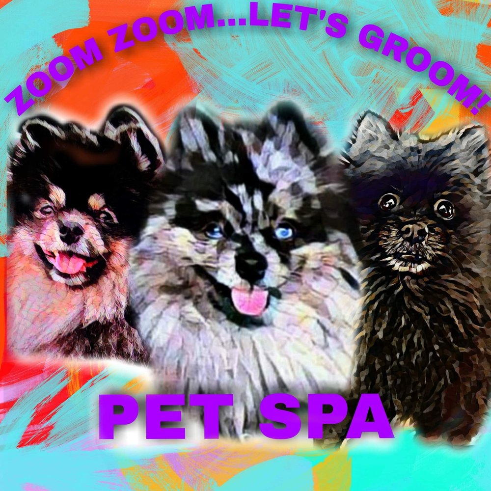 ZOOM ZOOM...LET’S GROOM! Updated September 2024 Request an