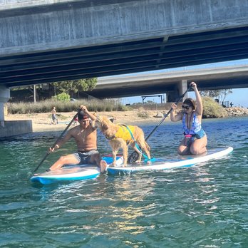 SUP Pups - Paddleboarding Near Me - San Diego, California