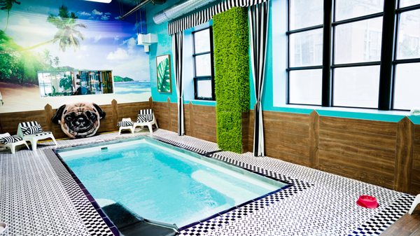 DOGGIEVILLE MTL by null