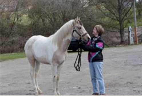 The Riding Place - equestrian in Port Orchard, WA