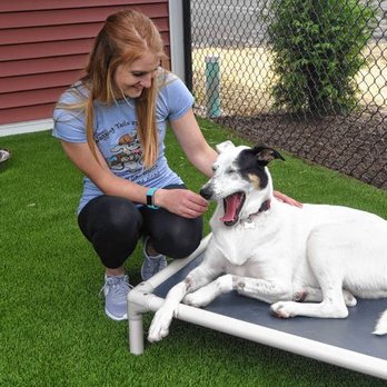 Wagging Tails Pet Resort - Audrey and Naya, our deaf girl! Photo courtesy of The Daily Hampshire Gazette - Pet Boarding Near Me - Hadley, Massachusetts Wagging Tails Pet Resort - Audrey and Naya, our deaf girl! Photo courtesy of The Daily Hampshire Gazette - Pet Boarding Near Me - Hadley, Massachusetts