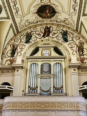 St. Louis Cathedral by null