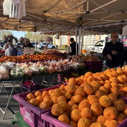 Farmers Market Laguna Gateway Center - Mandarins!!!!