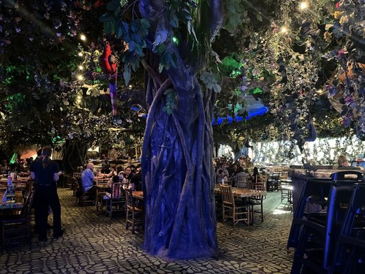 Rainforest Cafe by null