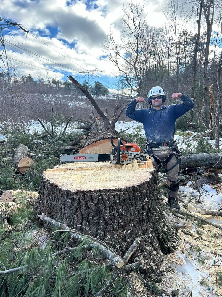 Doncev Tree Service - tree service in Greenfield, MA