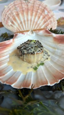 Alain Ducasse at The Dorchester by null