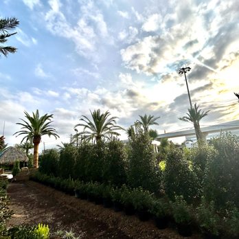 Three Sisters Nursery - Nurseries & Gardening Near Me - Houston, Texas