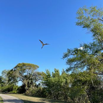 Barnett Park - Parks Near Me - Orlando, Florida Barnett Park - Parks Near Me - Orlando, Florida