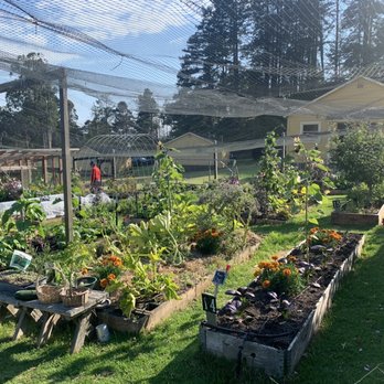 Mar Vista Farm + Cottages - Vegetable garden - Bed & Breakfast Near Me - Gualala, California Mar Vista Farm + Cottages - Vegetable garden - Bed & Breakfast Near Me - Gualala, California