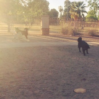 Miko's Corner Playground at Reid Park - Dog Parks Near Me - Tucson, Arizona