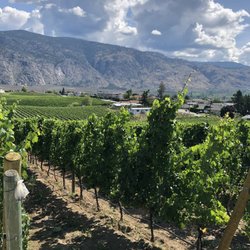 Bordertown Vineyards and Estate Winery