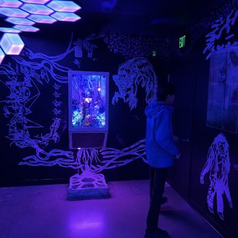 Meow Wolf - Venues & Event Spaces Near Me - Denver, Colorado