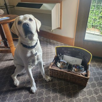 Napa River Inn - Very Important Pet package - Hotels Near Me - Napa, California Napa River Inn - Very Important Pet package - Hotels Near Me - Napa, California