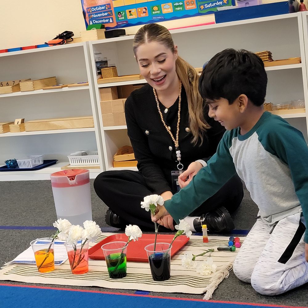 Pleasanton Montessori Daycare