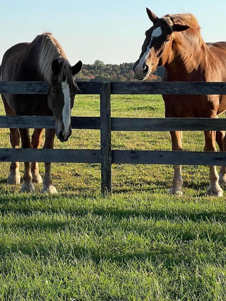 Hooves And Honey Farm - beekeeping in Glen Rock, PA
