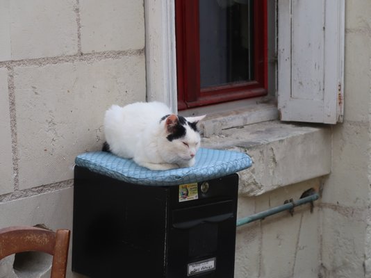 La Cave Voltaire by null