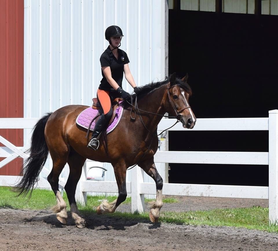 City View Equestrian - equestrian in Bloomfield, NY