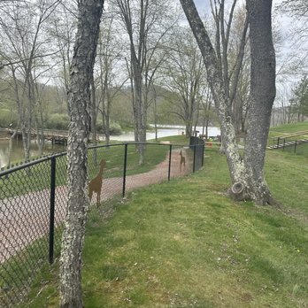 Stonewall Resort - Hotels Near Me - Roanoke, West Virginia