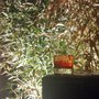 Photo of Baltazar Bar