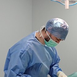 Animal Trust - Vet operating