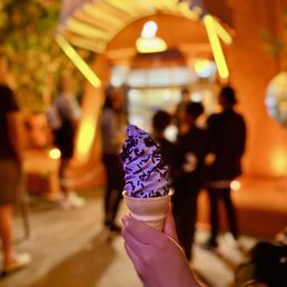 COZY CONE MOTEL - Updated July 2025 - 1576 Photos & 541