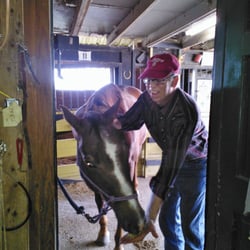 Saddle Up & Ride - Apple time for Trey, a beautiful and responsive quarter horse.