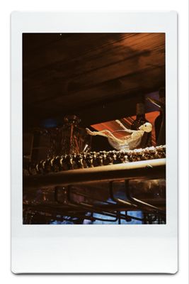 Franky Bradley's | B.West by null