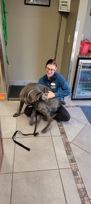 PEBBLE CREEK ANIMAL HOSPITAL - Updated January 2026 - 37 Photos & 80