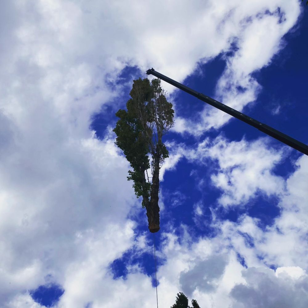 Great Lake Arbor Care - tree service in Ogden, UT