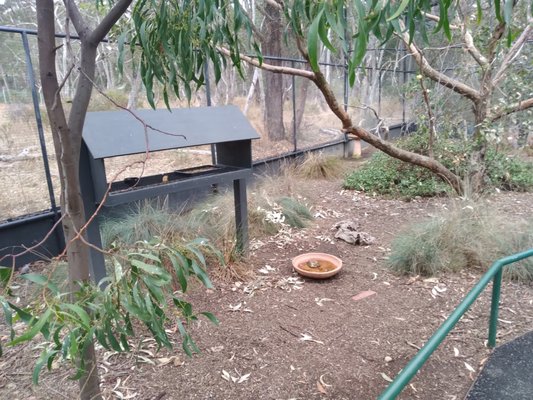 Cleland Wildlife Park by null