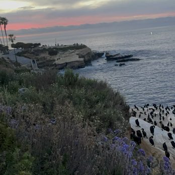 The Marine Room - Stinky but beautiful view outside - Seafood Near Me - La Jolla, California The Marine Room - Stinky but beautiful view outside - Seafood Near Me - La Jolla, California