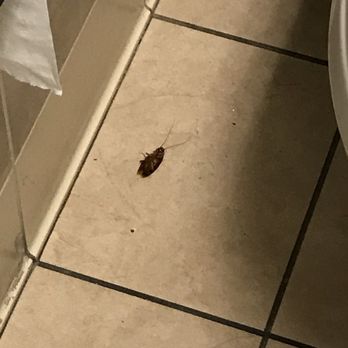 DICK'S Sporting Goods - This was also in the bathroom today. - Sports Wear Near Me - Glendale, Arizona