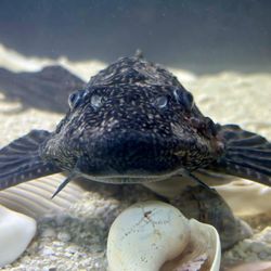 Shop Market Aquariums