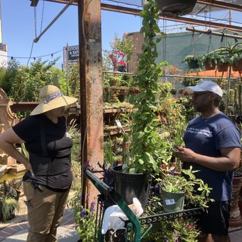 Anawalt Lumber - Nurseries & Gardening Near Me - Los Angeles, California Anawalt Lumber - Nurseries & Gardening Near Me - Los Angeles, California
