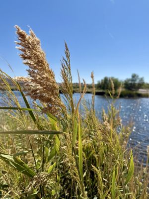 Cornerstone Park by null