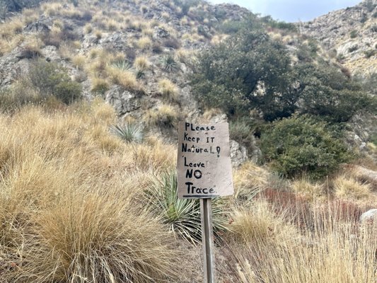 Eaton Canyon Falls by null