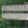 Photo of Coldfall Wood