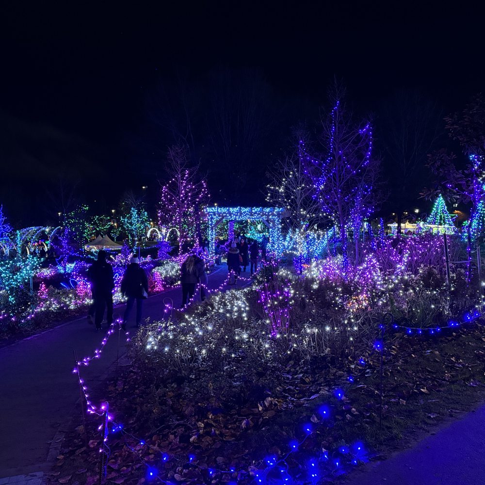 Lights at Lafarge - Garden on E side of lake~ - Local Flavor Near Me - Coquitlam, British Columbia Lights at Lafarge - Garden on E side of lake~ - Local Flavor Near Me - Coquitlam, British Columbia