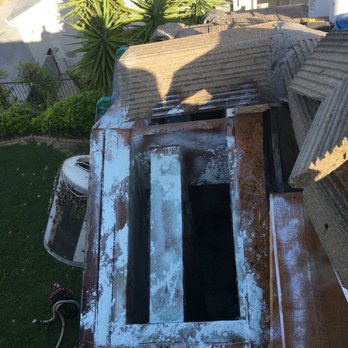 Bee Green Natural Bee Removal - Wildlife Control Near Me - Los Angeles, California