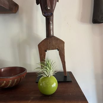 Fiddle & Fern - Shiny green vase with air plant - Nurseries & Gardening Near Me - Downtown Ventura, California Fiddle & Fern - Shiny green vase with air plant - Nurseries & Gardening Near Me - Downtown Ventura, California