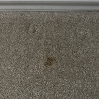 ProSteam Restoration - Carpet Cleaning Near Me ProSteam Restoration - Carpet Cleaning Near Me
